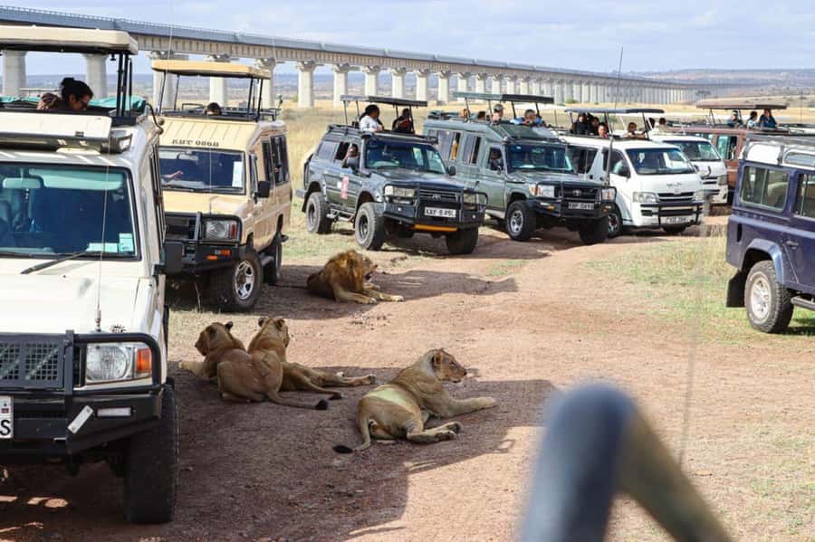 Nairobi National Park Morning Game Drive With Free Pickup - The 40-Minute Ride In An Open-Roof Safari Van
