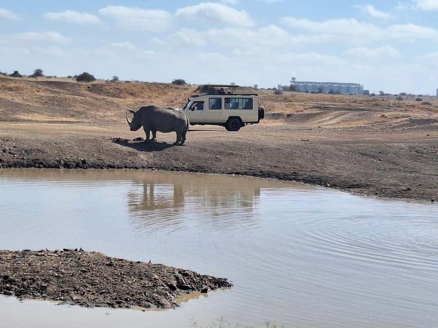 Nairobi National Park Morning Or Evening Game Drive Tour - Inside the Open-Roof Vehicle