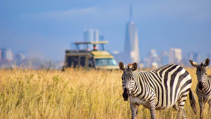 Nairobi National Park, Orphanage, Giraffe & Beads Tour - Why this Nairobi day works so well