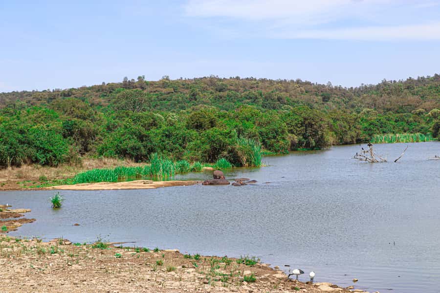 Nairobi National Park, Orphanage, Giraffe & Beads Tour - Returning to your hotel by about 4:00 p.m.
