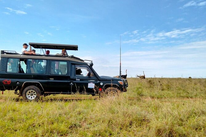 Nairobi National park private day tour - Carnivore Restaurant or Mamba Village after the game drive