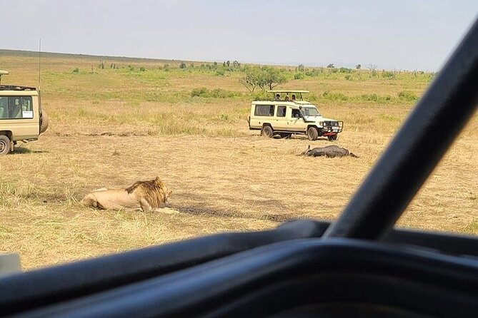 Nairobi National Park Private Half Day Tour with Pick up - Starting at Best Western Plus Meridian Hotel