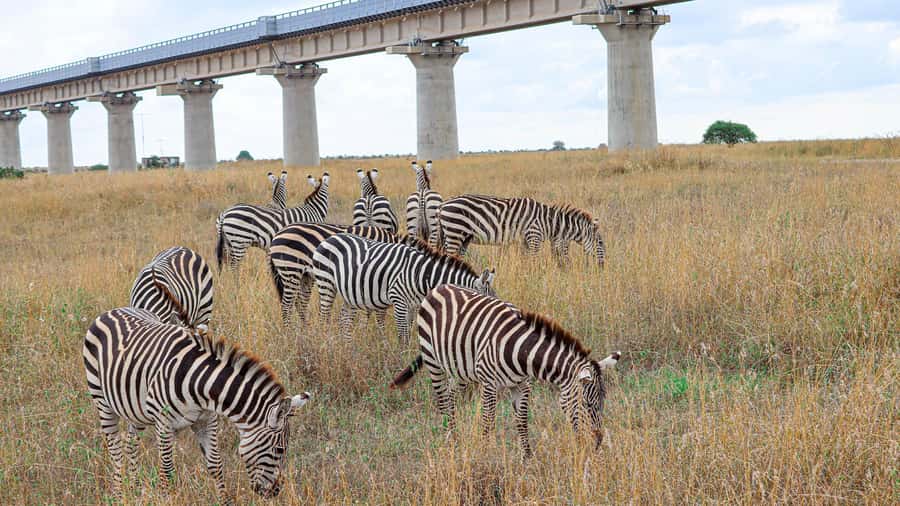 Nairobi: National Park Private Tour in 4X4 Jeep - Key points to know before booking