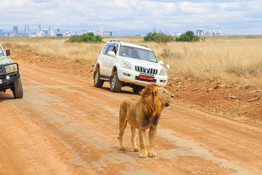 Nairobi: National Park Private Tour in 4X4 Jeep - The early hotel pickup gets your day moving