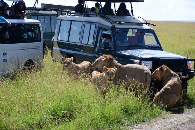 Nairobi National Park Shared Tour - Who will get the most from this safari