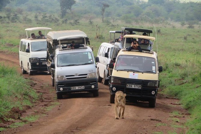 Nairobi National Park, Sheldrick Elephant, Giraffe Centre Tour - Karen Blixen Museum and Kobe Beads