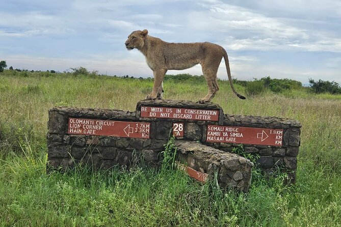 Nairobi National Park, Sheldrick Elephant, Giraffe Centre Tour - Sheldrick Elephant and Rhino Orphanage