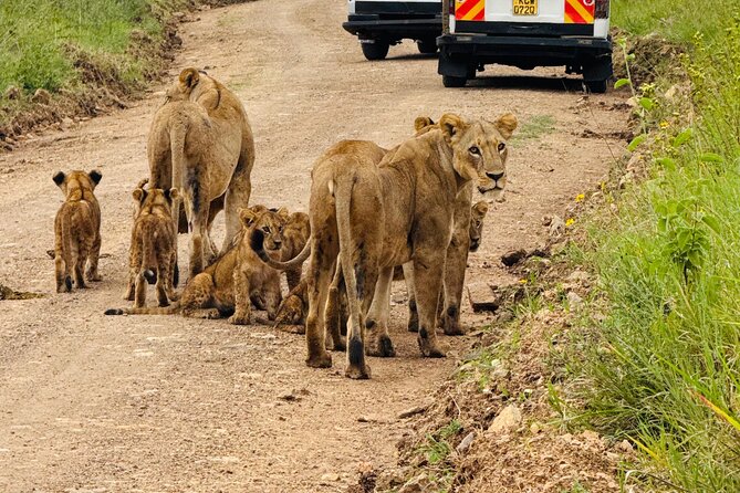 Nairobi National Park Sheldrick & Giraffe Centre Day Trip - Key points at a glance