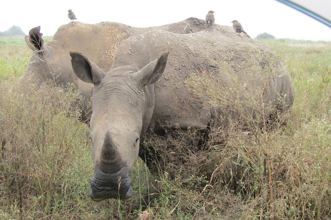 Nairobi National Park Sheldrick & Giraffe Centre Day Trip - Kazuri Beads: a practical stop with a local purpose