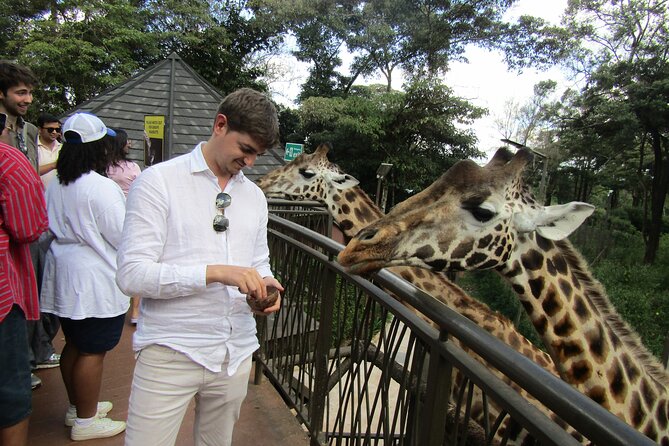 Nairobi National Park Sheldrick & Giraffe Centre Day Trip - Bomas of Kenya and the cultural side of Nairobi