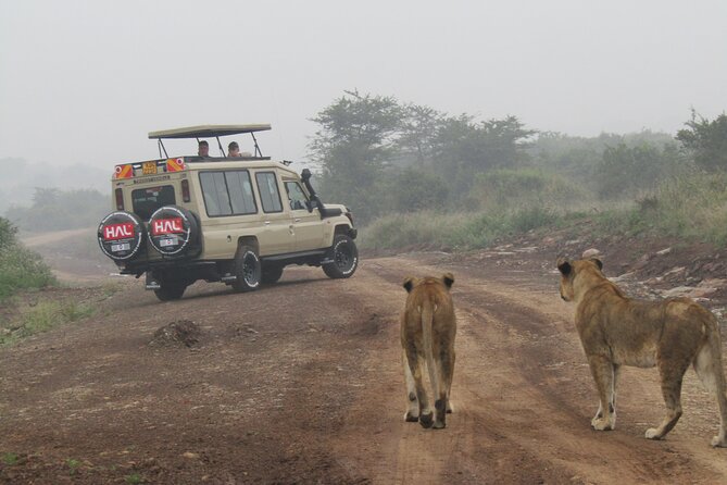 Nairobi National Park Sheldrick & Giraffe Centre Day Trip - Vehicle comfort and the value of a small group