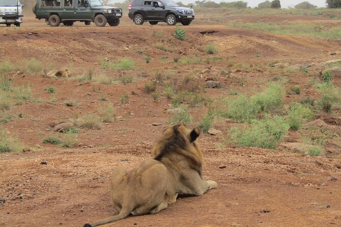 Nairobi National Park Sheldrick & Giraffe Centre Day Trip - Guide reliability matters in a packed Nairobi day