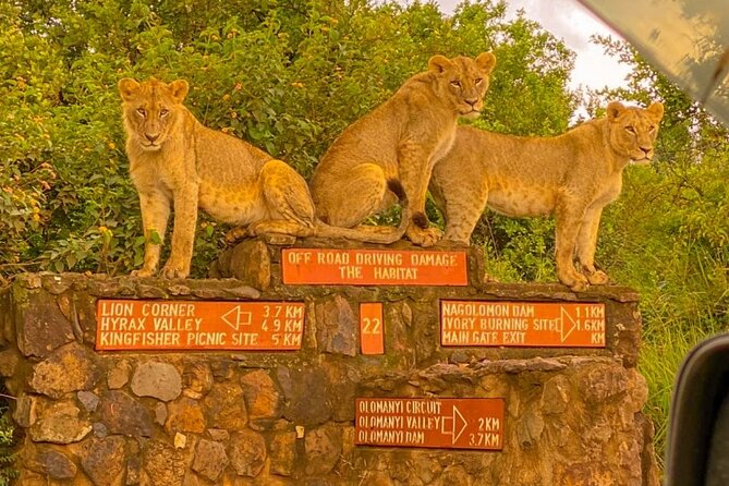 Nairobi National park sun rise game drive with pickup & drop-off - Impala Picnic and the ivory-burning site