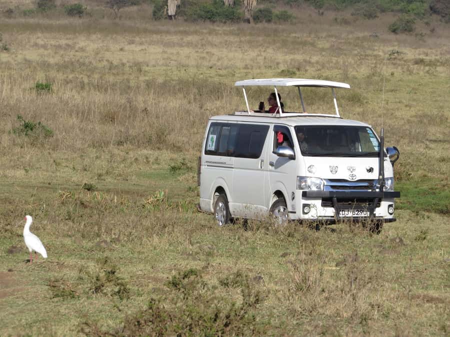 Nairobi national park: Sunrise and Sunset Tours - Five things to know before you book