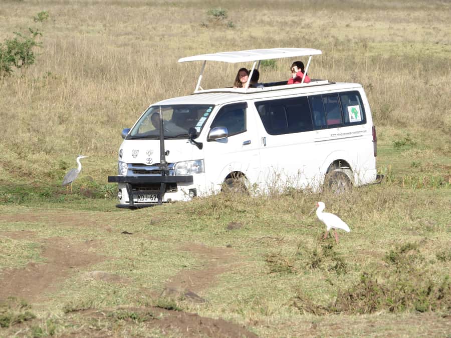 Nairobi national park: Sunrise and Sunset Tours - Why Nairobi National Park makes a smart half-day outing