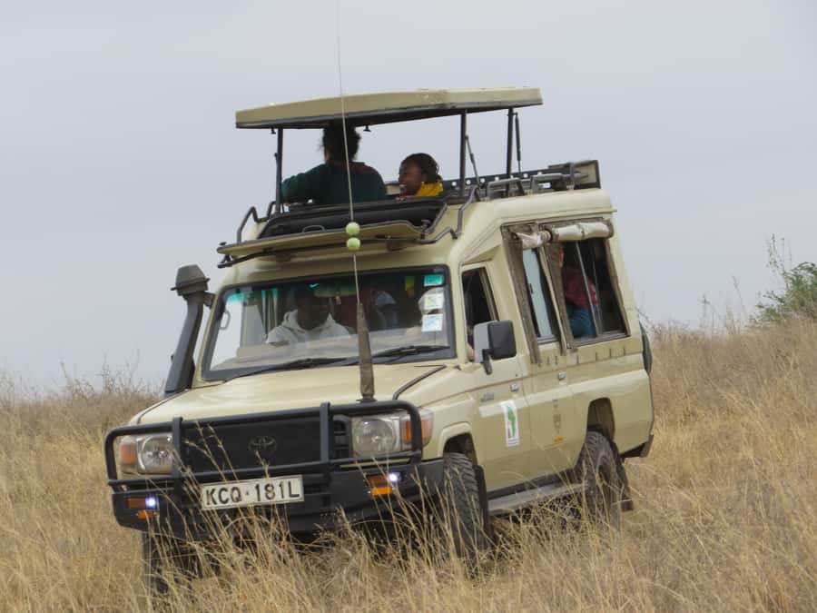 Nairobi national park: Sunrise and Sunset Tours - What the open-roof vehicle adds
