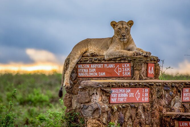 Nairobi National Park Tour - The Real Cost: $80 Plus Park Admission