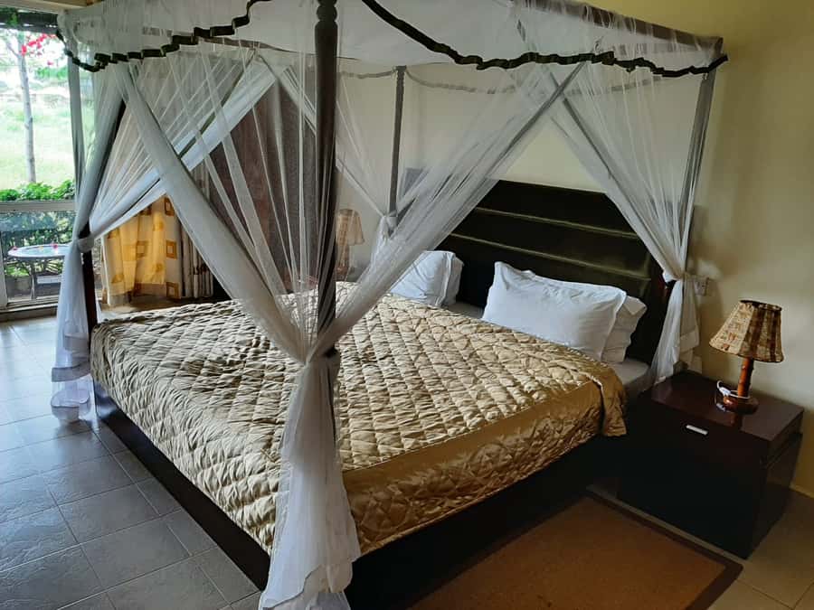 Nairobi: Overnight Safari Trip to Amboseli National Park - Arriving for lunch and the first Amboseli game drive