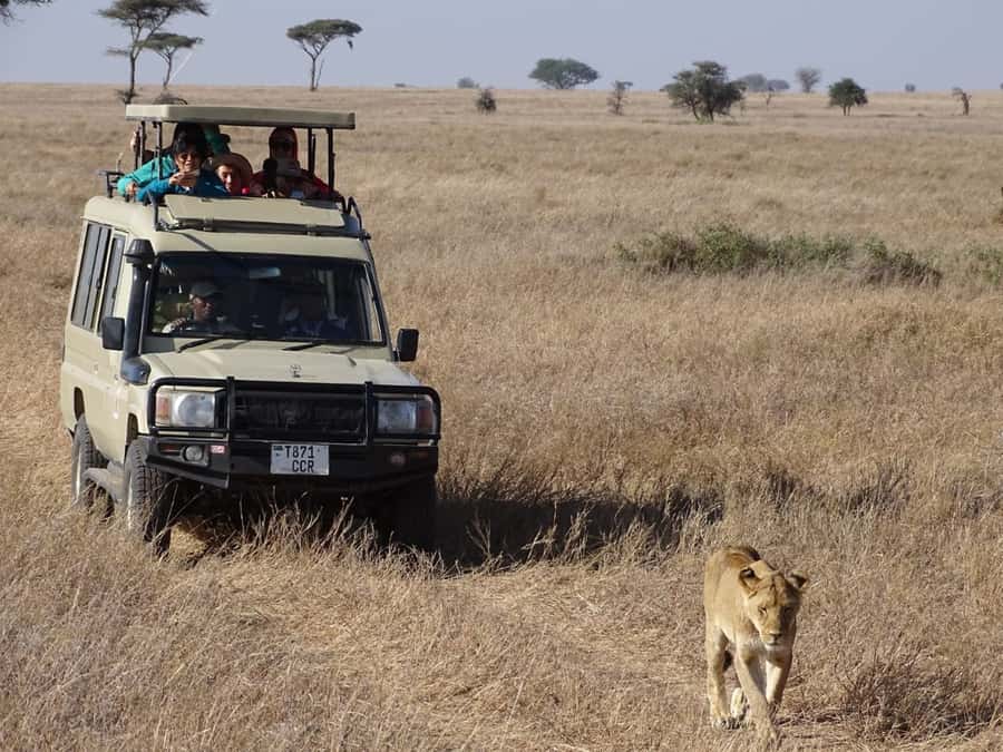 Nairobi: Overnight Safari Trip to Amboseli National Park - AA Amboseli Lodge and the overnight break