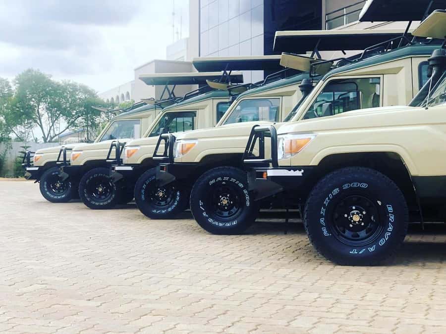 Nairobi: Overnight Safari Trip to Amboseli National Park - The early game drive and Observation Hill