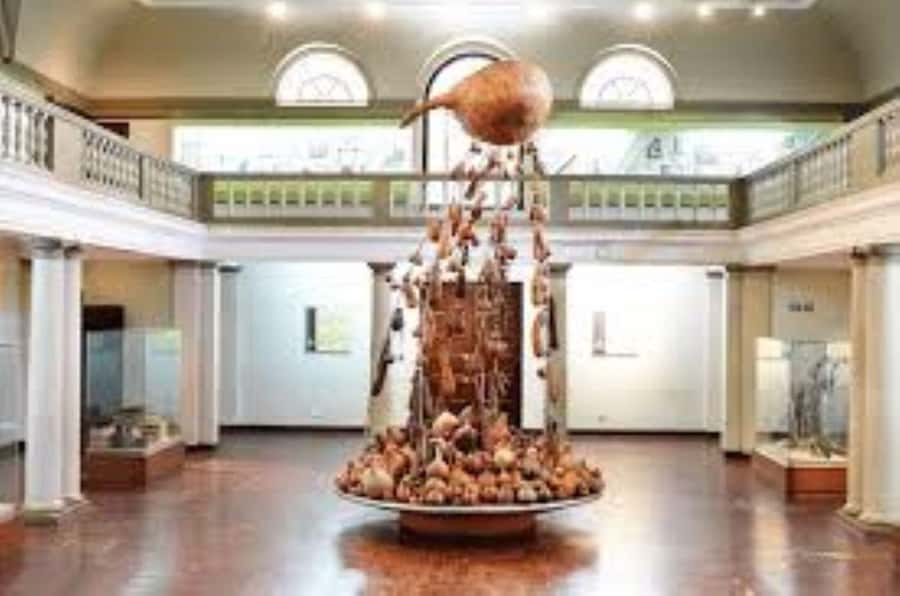 Nairobi Park, Giraffe & Elephant Orphanage with Museum Visit - Should you book this Nairobi tour?