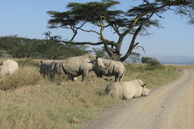 Nairobi Park Wildlife Safari - Walking trails and what the six-hour limit means