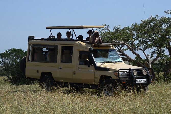 Nairobi Park Wildlife Safari - What you may see on the Nairobi National Park game drive
