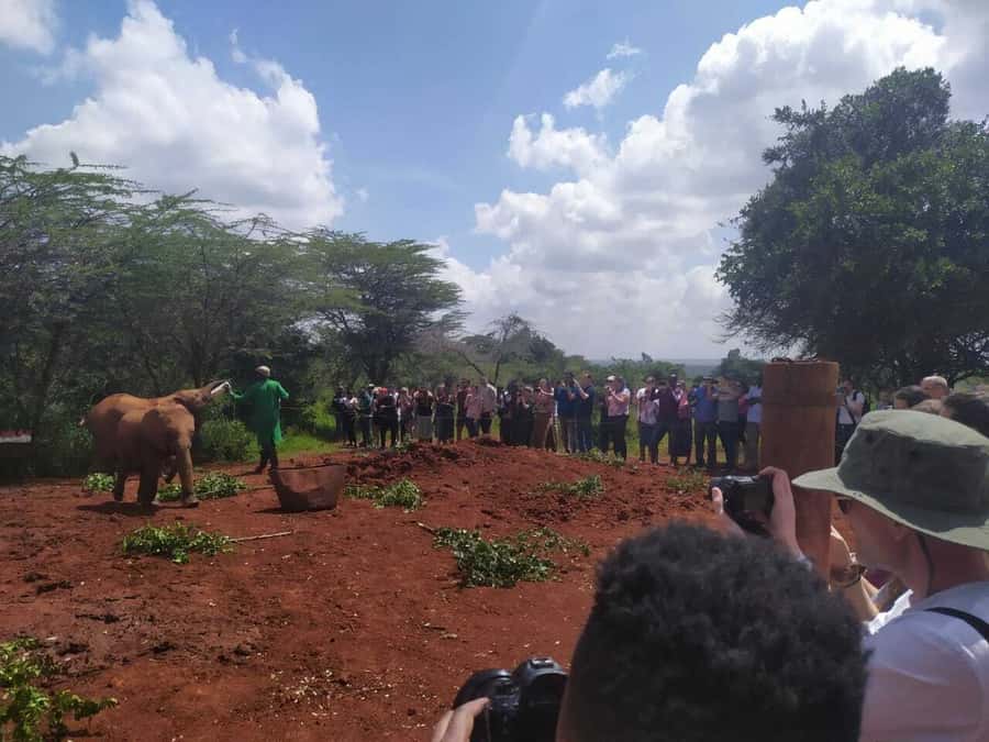 Nairobi: Private Elephant Orphanage Tour - The wood crafts store and Kazuri beads factory