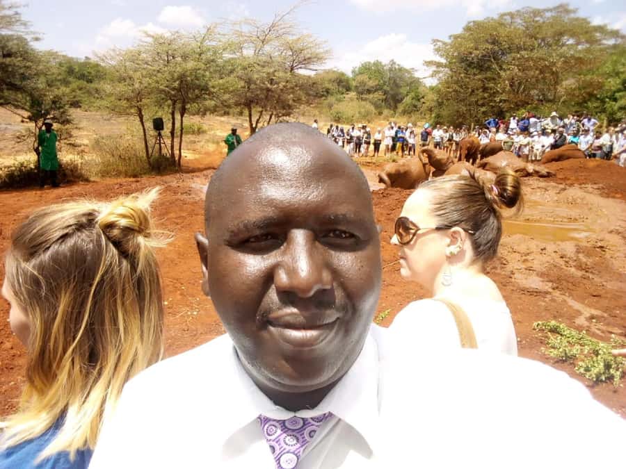 Nairobi: Private Elephant Orphanage Tour - My verdict on the $100 value