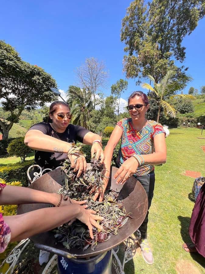Nairobi: Purple Tea Farm Gatura Greens Day Trip - The Bamboo Forest Trail to the Waterfall