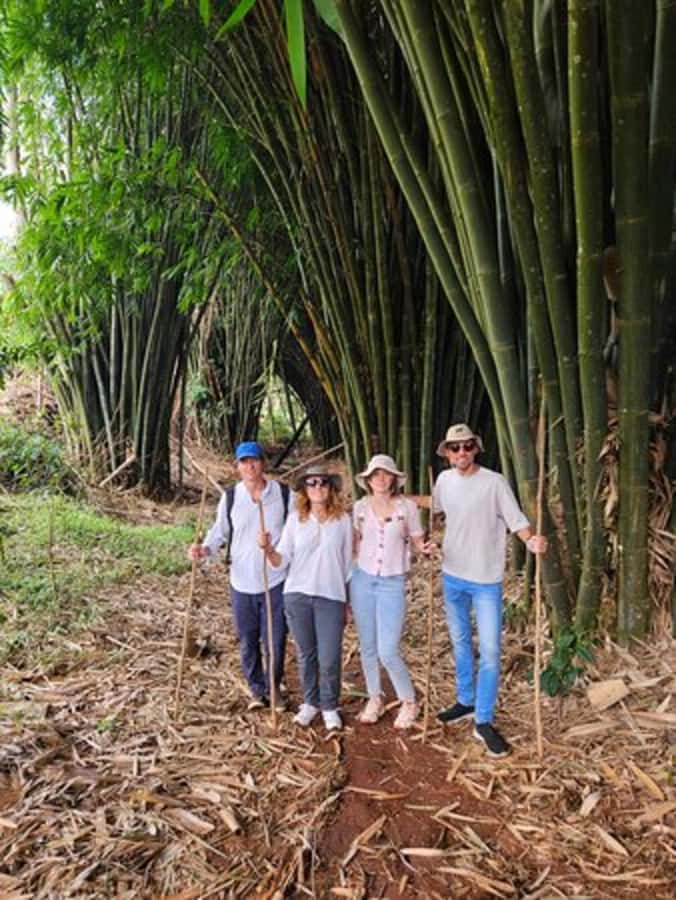 Nairobi: Purple Tea Farm Gatura Greens Day Trip - A Farm Lunch Worth Planning Around