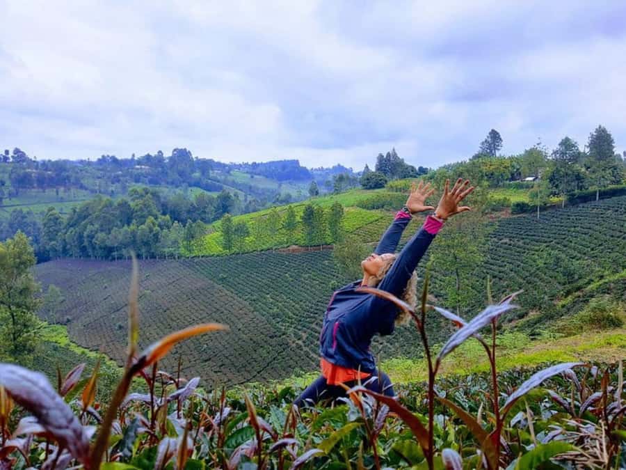 Nairobi: Purple Tea Farm Gatura Greens Day Trip - Transport, Timing, and the Shape of the Day