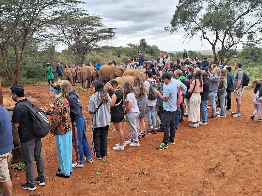 Nairobi’s Best:Elephants,Giraffes Center & Karen Blixen Tour - Key points to know before booking