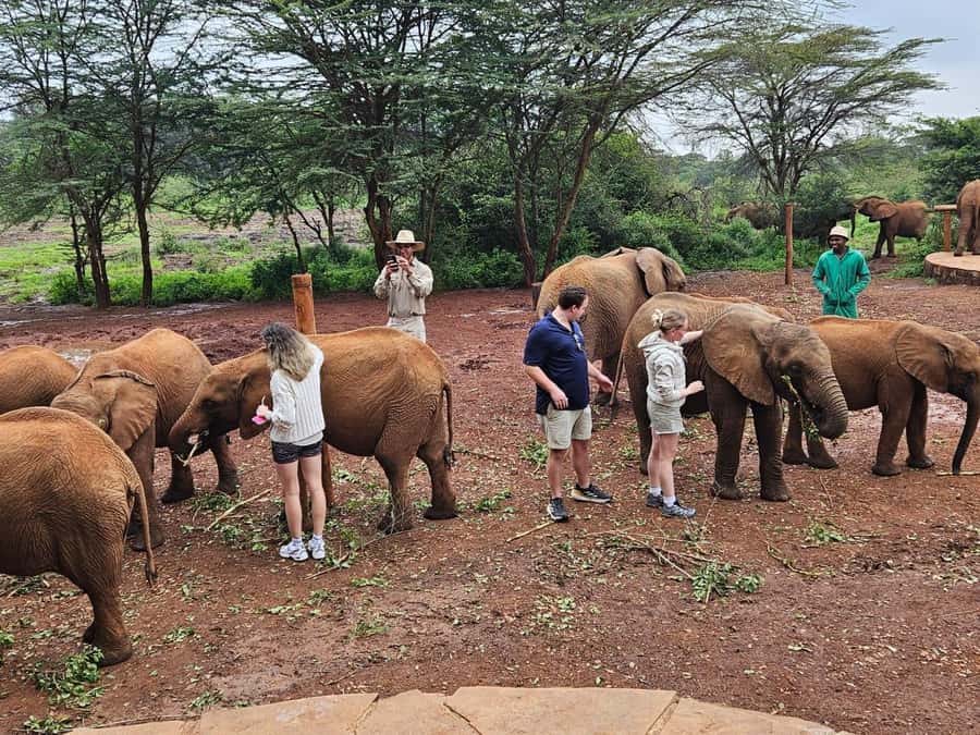 Nairobi’s Best:Elephants,Giraffes Center & Karen Blixen Tour - Are the Giraffe Centre and Karen Blixen Museum included?