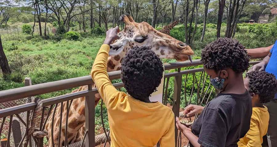 Nairobi: Sheldrick Elephant Orphanage and Giraffe Center - Key points to know before booking
