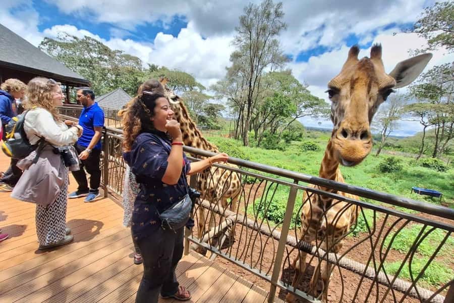 Nairobi: Sheldrick Elephant Orphanage and Giraffe Center - What your guide adds to the day