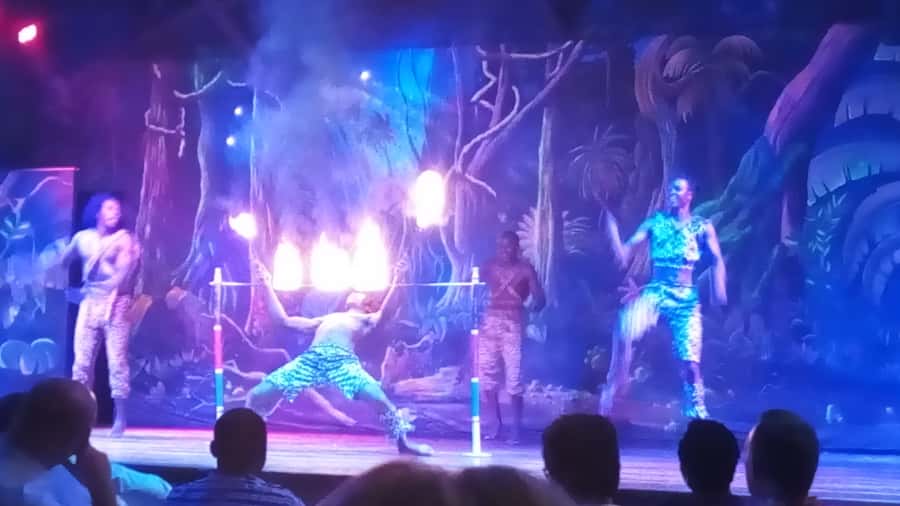 Nairobi: The Safari Cats Show Tickets & Buffet Dinner - Five things to know before booking
