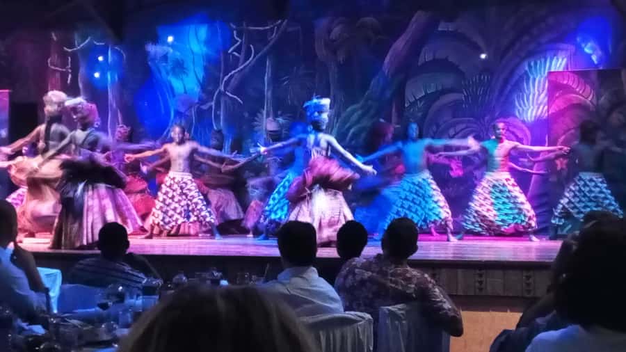Nairobi: The Safari Cats Show Tickets & Buffet Dinner - What the Safari Cats evening is really offering