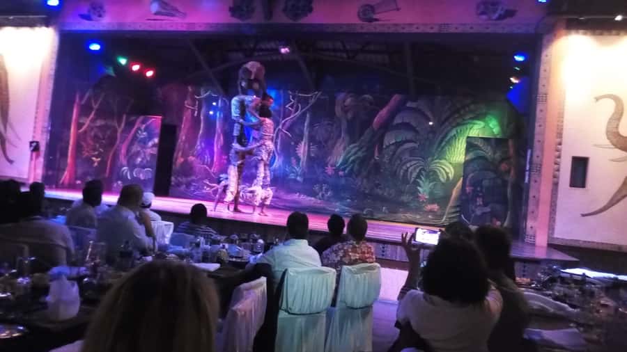 Nairobi: The Safari Cats Show Tickets & Buffet Dinner - Arriving early makes the meal easier