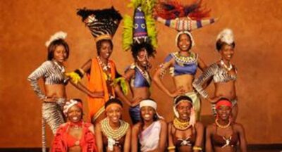 The Safari Cats Show Tickets & Buffet Dinner