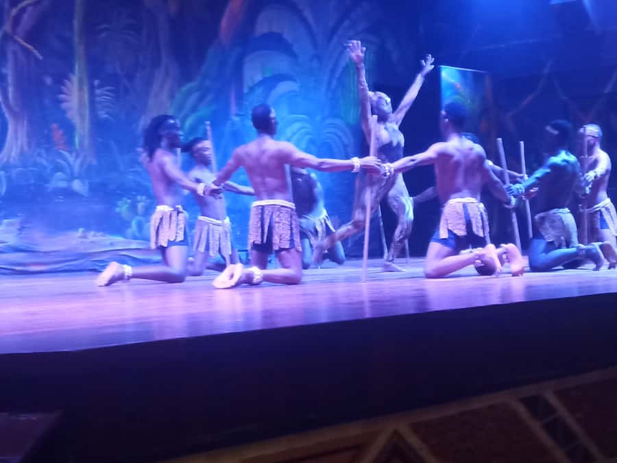 Nairobi: The Safari Cats Show Tickets & Buffet Dinner - The 9 pm Safari Cats performance