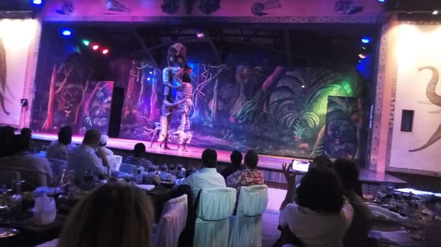 Nairobi: The Safari Cats Show Tickets & Buffet Dinner - Combining it with a Nairobi day