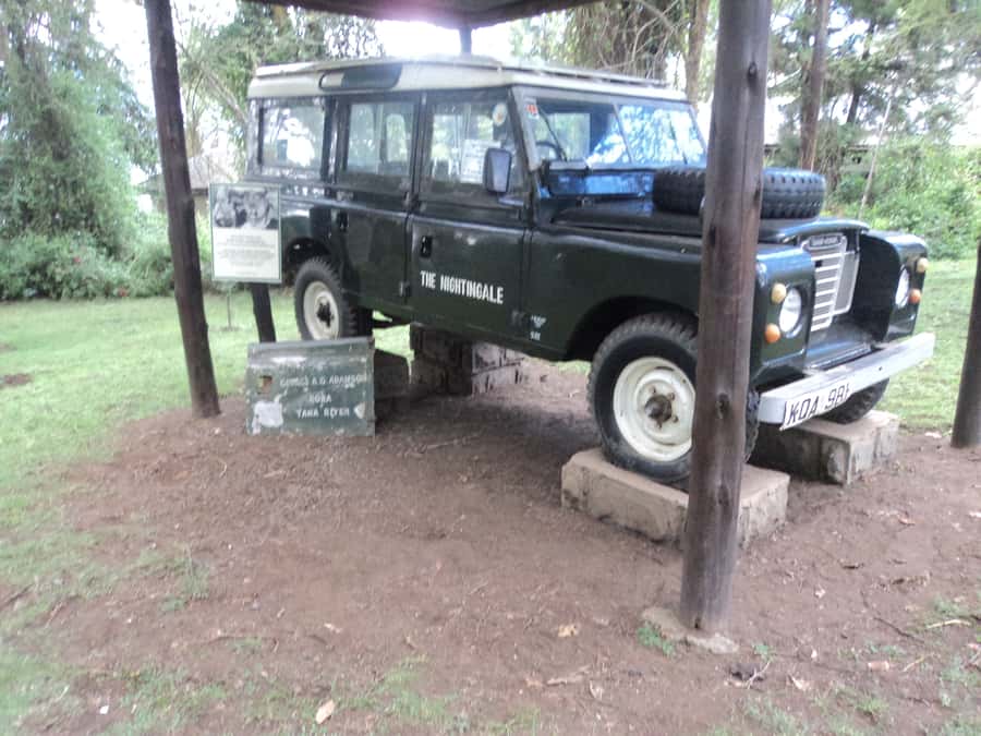 Nairobi to Lake Naivasha Day Tour with Crescent Island - Walking among wildlife on Crescent Island