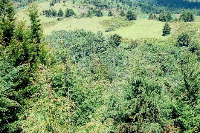Nairobi Zip Lining Adventure Experience - Understanding the $100 price