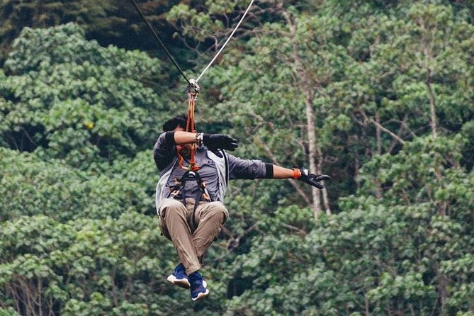 Nairobi Zip Lining Adventure Experience - The scenery between city and forest