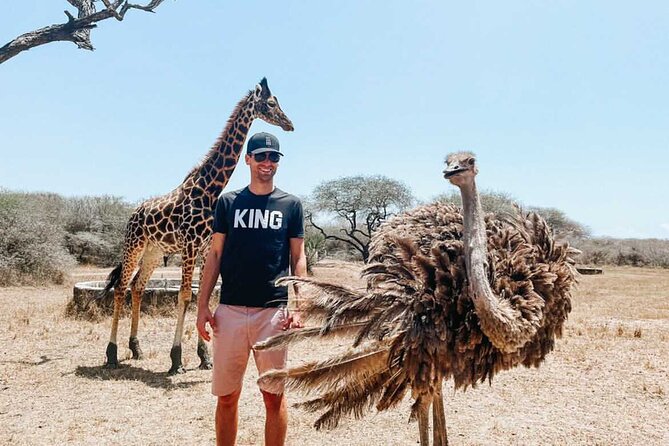 Nature Walk with Giraffes in Mombasa - Arriving off Kiembeni Road