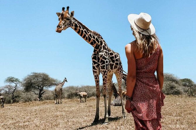 Nature Walk with Giraffes in Mombasa - Ostriches, antelopes, turtles, and more