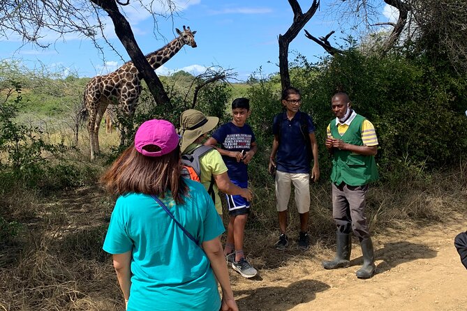 Nature Walk with Giraffes in Mombasa - Benches, views, and a possible wildlife tuk tuk