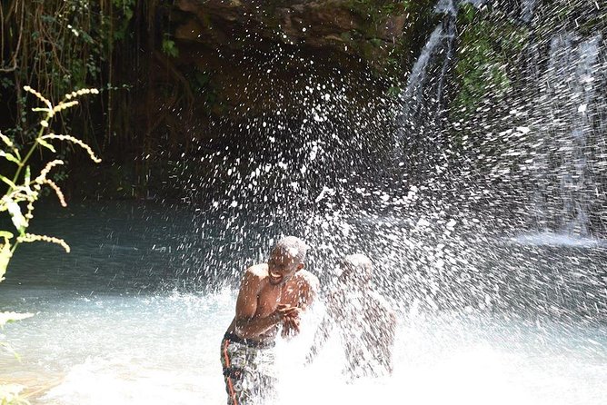Ngare Ndare Day Trip - Walking beneath 200-year-old trees