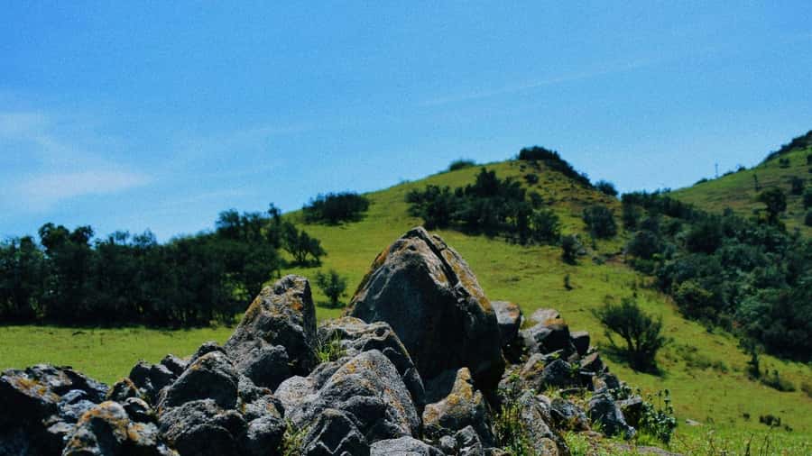 Ngong Hills: Private Hiking Tour - Three hours walking the Ngong Hills